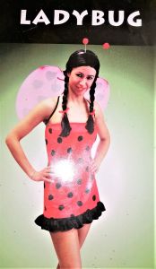 Kids Costumes to Hire - Ladybug DRESS CHILD
